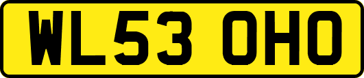 WL53OHO
