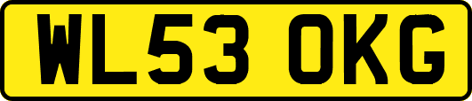 WL53OKG