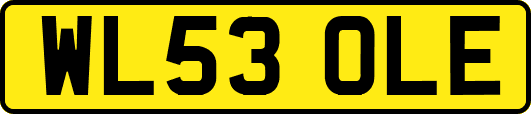 WL53OLE