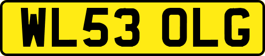 WL53OLG