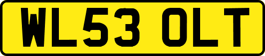 WL53OLT