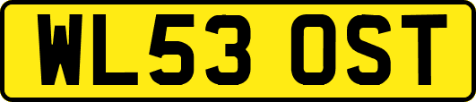 WL53OST