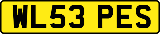 WL53PES