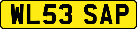 WL53SAP