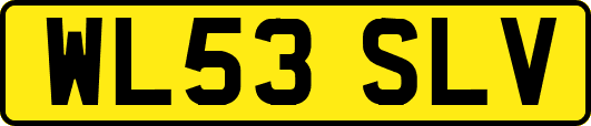 WL53SLV