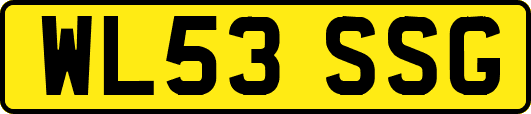 WL53SSG