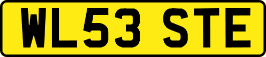 WL53STE