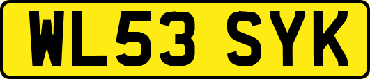 WL53SYK