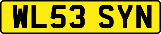 WL53SYN