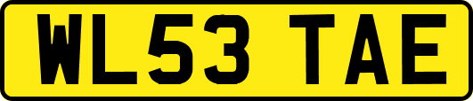 WL53TAE