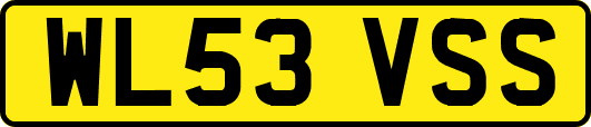 WL53VSS