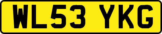 WL53YKG