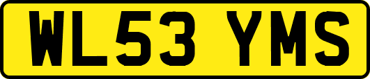 WL53YMS