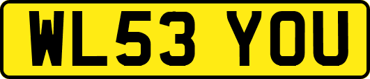 WL53YOU