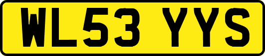 WL53YYS