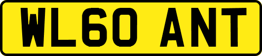 WL60ANT