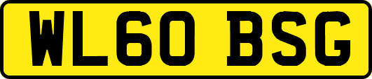 WL60BSG
