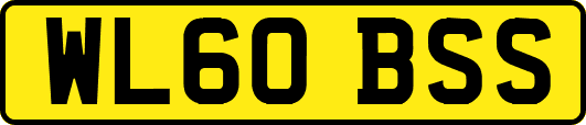WL60BSS