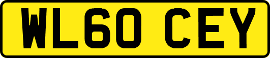 WL60CEY