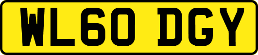 WL60DGY