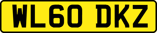 WL60DKZ