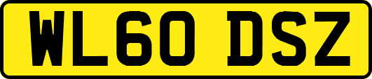 WL60DSZ