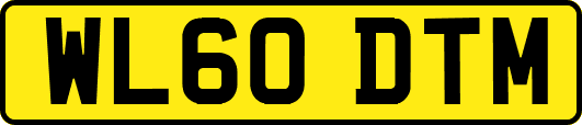 WL60DTM