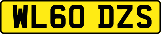 WL60DZS