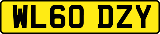 WL60DZY