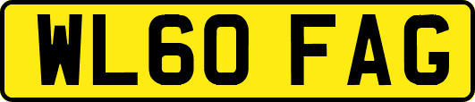 WL60FAG