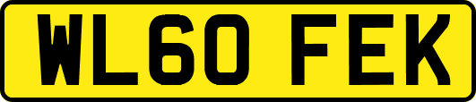WL60FEK