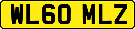 WL60MLZ