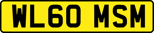 WL60MSM