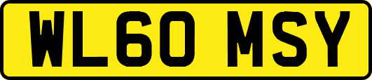 WL60MSY