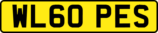 WL60PES