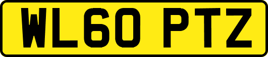 WL60PTZ