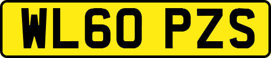 WL60PZS