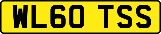 WL60TSS