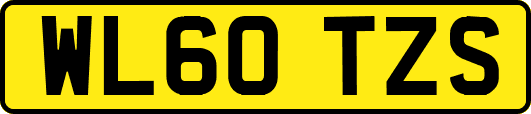 WL60TZS