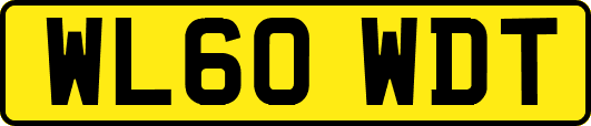 WL60WDT