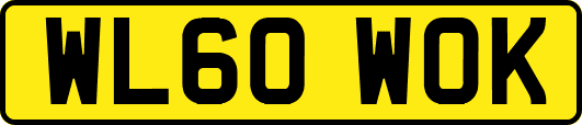 WL60WOK