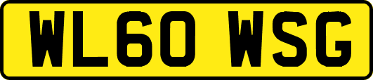 WL60WSG