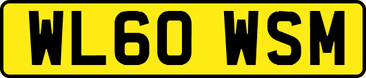 WL60WSM