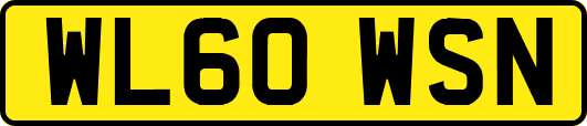 WL60WSN