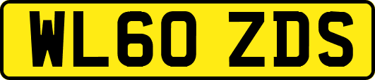WL60ZDS