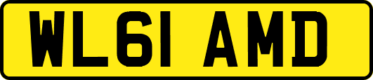 WL61AMD