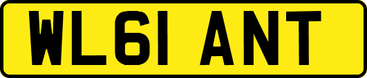 WL61ANT