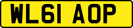 WL61AOP