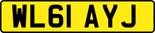 WL61AYJ