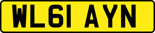 WL61AYN